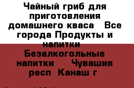 Чайный гриб для приготовления домашнего кваса - Все города Продукты и напитки » Безалкогольные напитки   . Чувашия респ.,Канаш г.